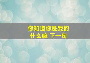 你知道你是我的什么嘛 下一句